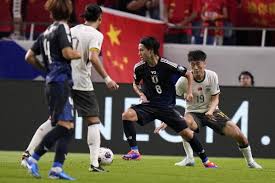数国内球迷